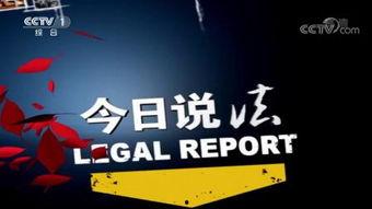 今日说法在线观看,揭秘法律背后的故事与真相  第3张