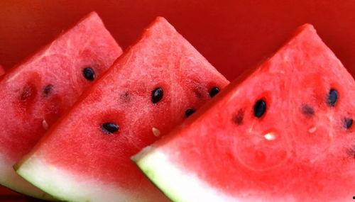 西瓜爆料网红炒作视频,网红炒作视频揭秘，真相令人咋舌  第1张